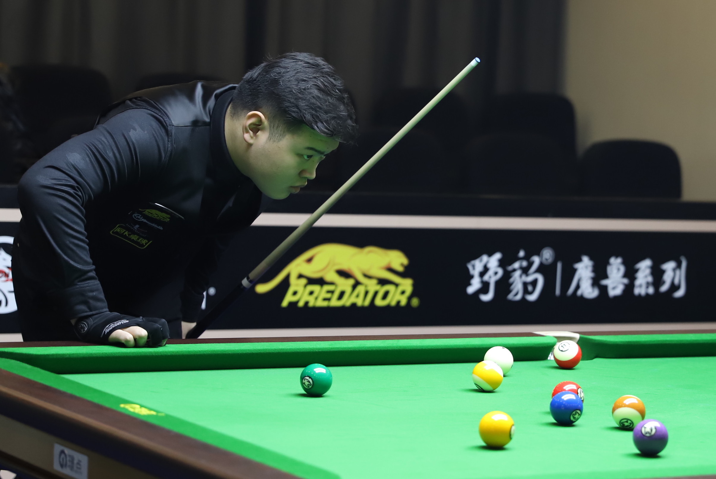 和的业内人 和的业内人